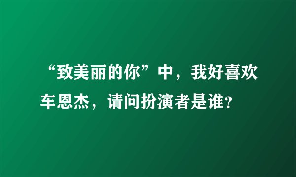 “致美丽的你”中，我好喜欢车恩杰，请问扮演者是谁？
