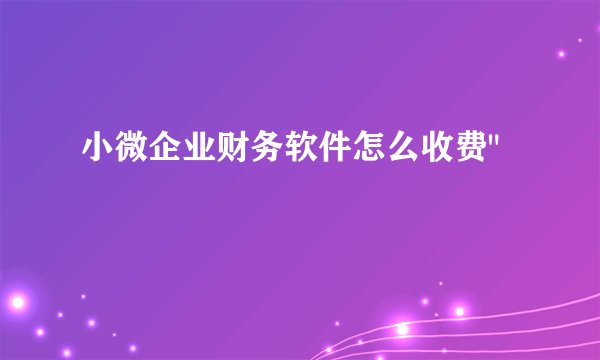 小微企业财务软件怎么收费