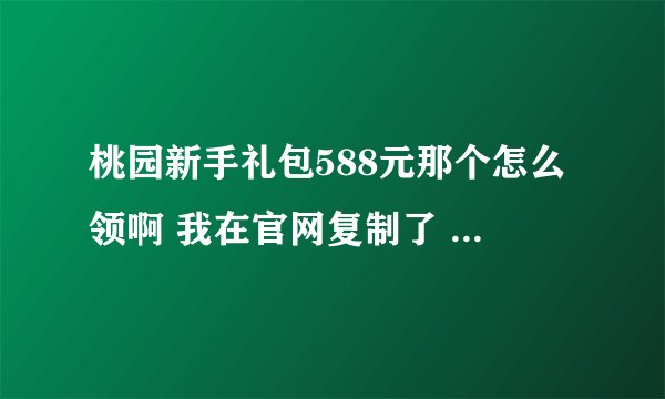 桃园新手礼包588元那个怎么领啊 我在官网复制了 在游戏上领还是在官网上领啊