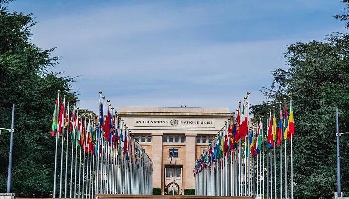 国际组织的分类和作用 国际组织的分类和作用有哪些