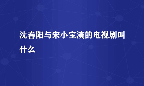 沈春阳与宋小宝演的电视剧叫什么