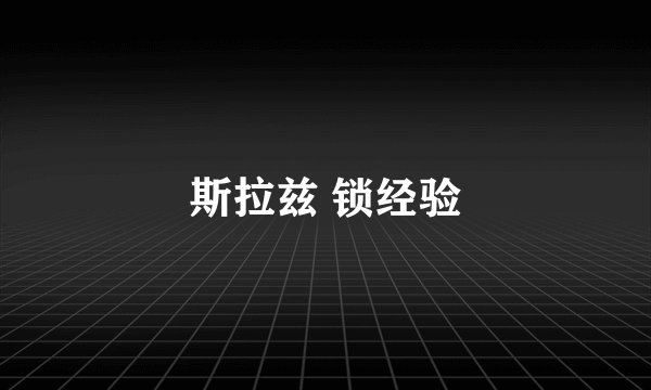 斯拉兹 锁经验