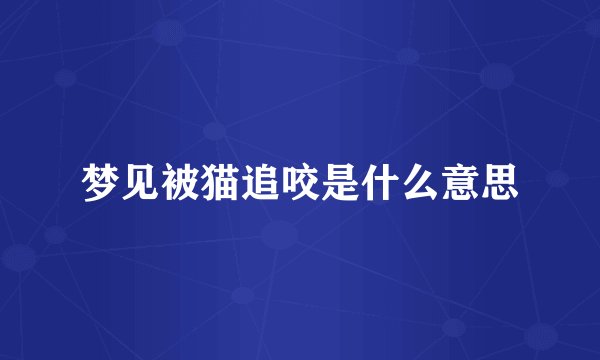 梦见被猫追咬是什么意思