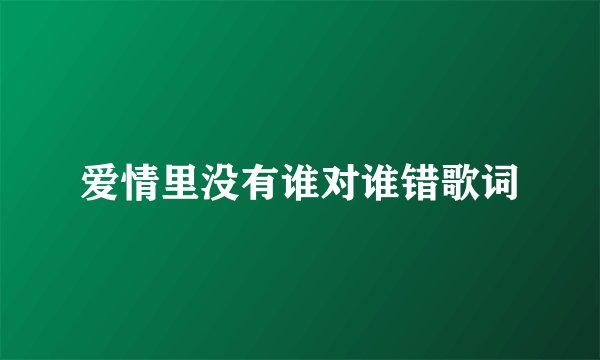 爱情里没有谁对谁错歌词