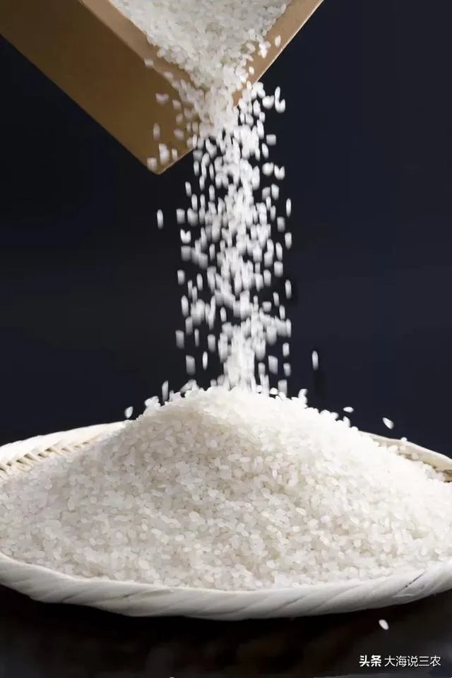 我们现在吃的大米，是袁隆平教授研发的杂交水稻吗？