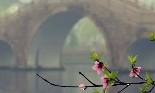 清明时节雨纷纷的题目