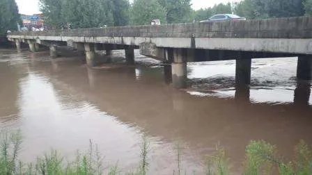 众星捐款驰援河南洪灾,这样的明星是否才值得我们追崇?