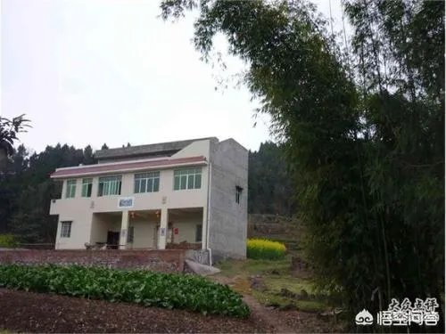 你们农村致富故事有哪些？