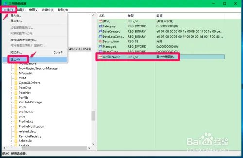 修改注册表ProfileName值更改电脑网络名称方法