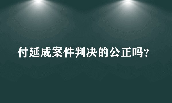 付延成案件判决的公正吗？