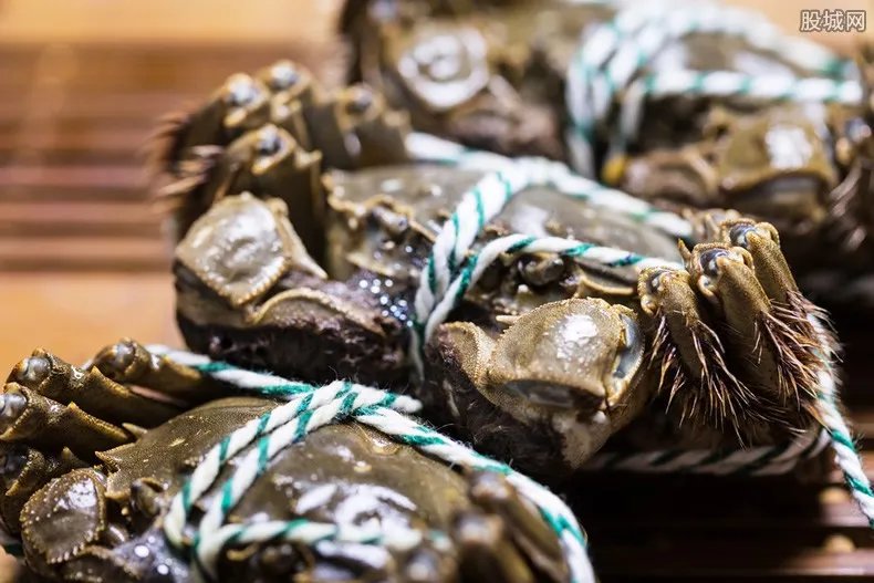 日本螃蟹拍出500万 这只螃蟹什么品种这么贵？