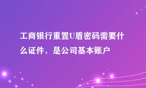 工商银行重置U盾密码需要什么证件，是公司基本账户