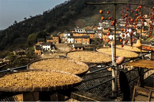 阳产村在什么地方？为什么被称为皖南最后一片净土？