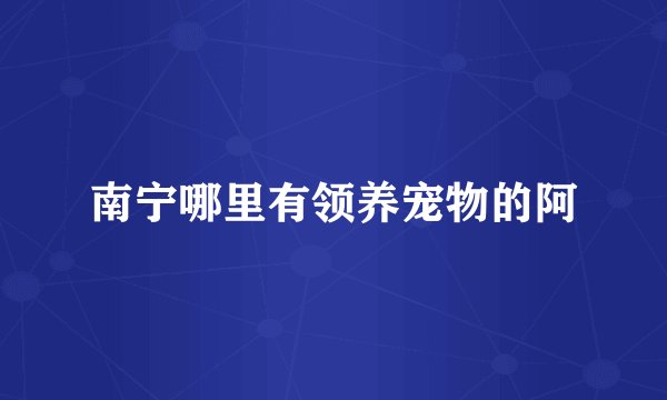 南宁哪里有领养宠物的阿