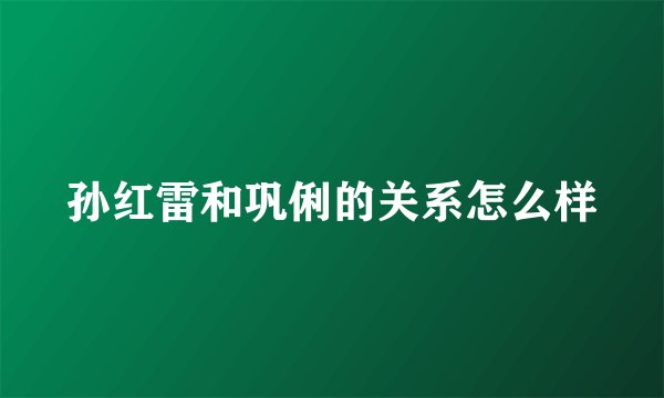孙红雷和巩俐的关系怎么样