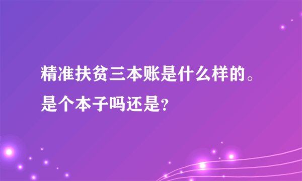 精准扶贫三本账是什么样的。是个本子吗还是？