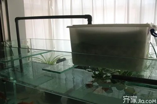 水族箱过滤器制作方法与作用