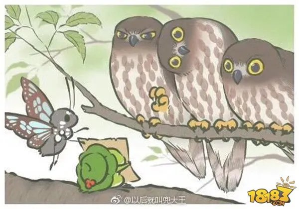 旅行青蛙图片明信片汇总 旅行青蛙相册大全