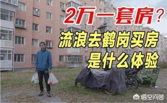 如何看待27岁男子去鹤岗花3万元买房,几个月后2.2万元卖掉?