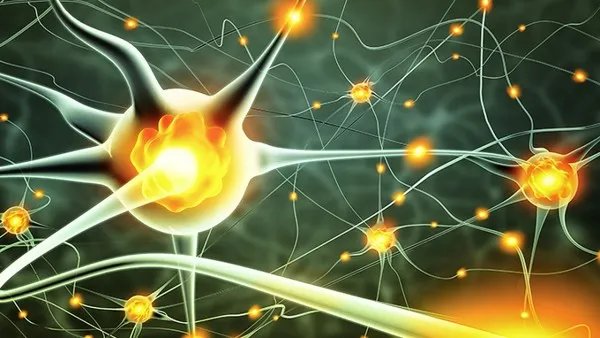 新冠病毒会通过环境传播吗？如何防止新冠通过环境传人？