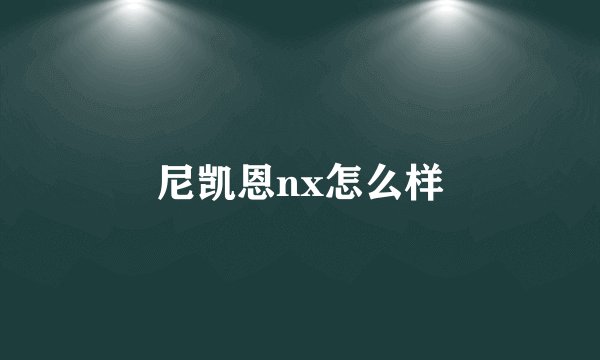 尼凯恩nx怎么样