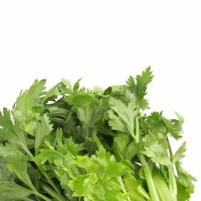 人流过后可以吃什么菜