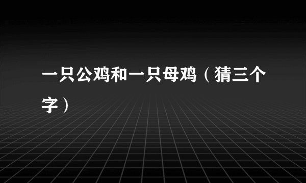 一只公鸡和一只母鸡（猜三个字）