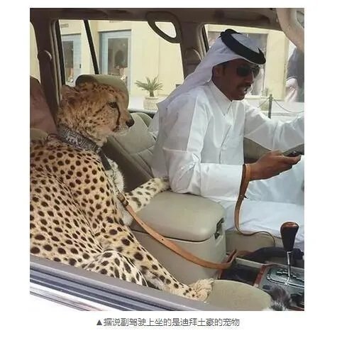 乞丐年入13亿是真的吗?沙特阿拉伯到底是怎样的存在?