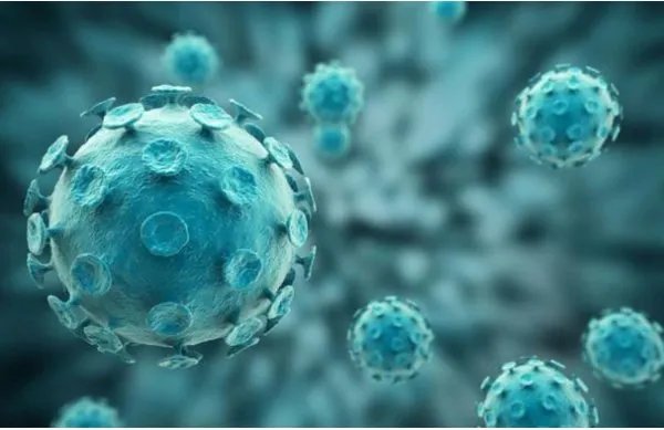 确诊夫妻没去疫区在公厕被传染具体是怎么回事？