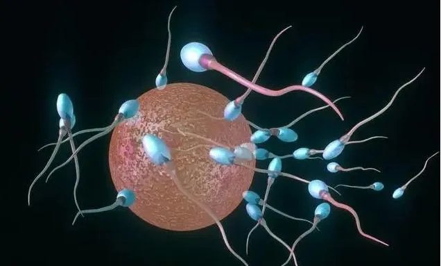 45岁试管移植成功经验日记-44岁做过3次试管婴儿，说说我的成功经验吧！