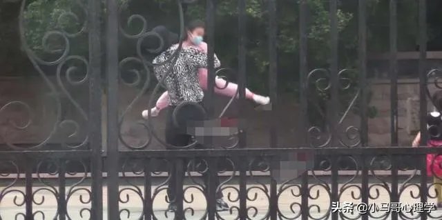 李小璐贾乃亮被拍到离婚后首次合体,你怎么看?