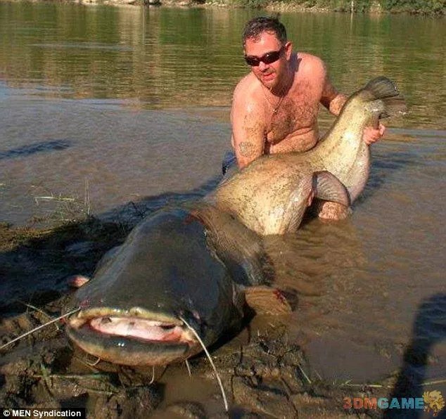 大得难以想象 那些震撼世人的巨型动物