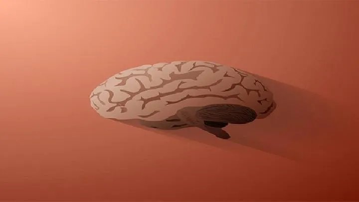 脑肿瘤的危害有哪些