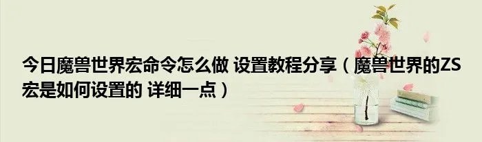 今日魔兽世界宏命令怎么做 设置教程分享（魔兽世界的ZS宏是如何设置的 详细一点）