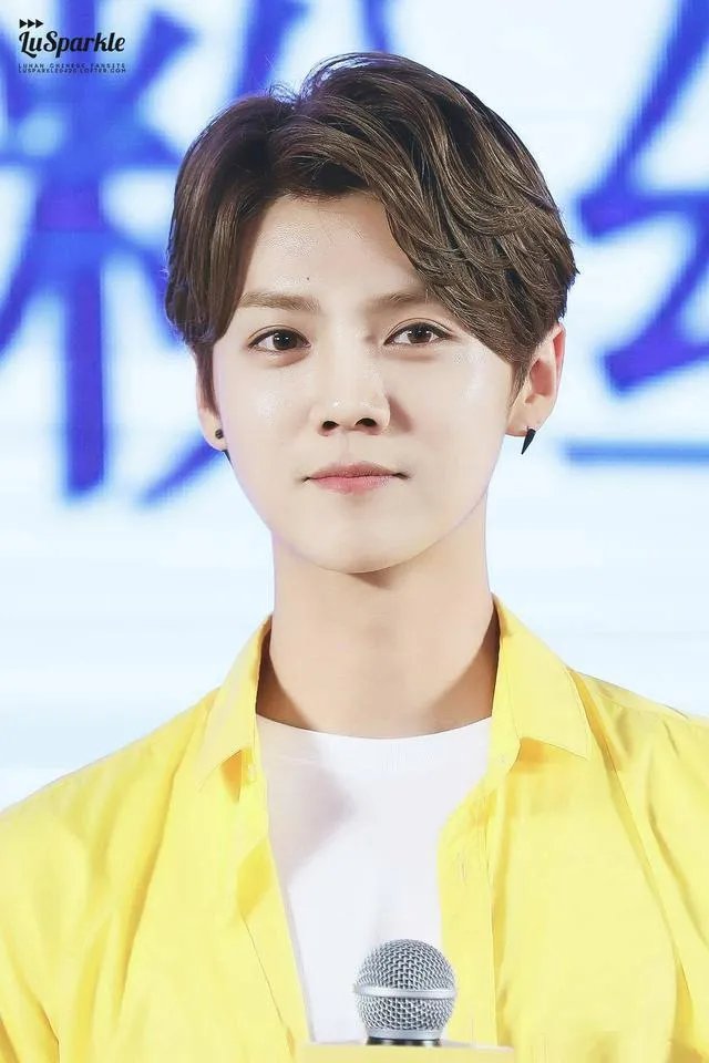 今年的春晚鹿晗、张艺兴的节目你更喜欢哪一个？