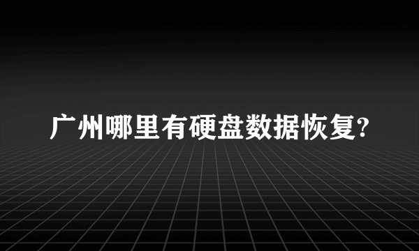 广州哪里有硬盘数据恢复?