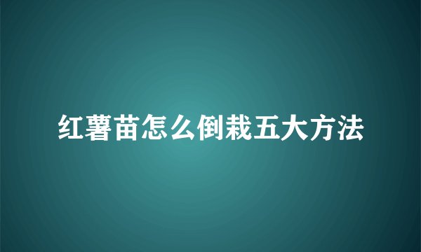 红薯苗怎么倒栽五大方法