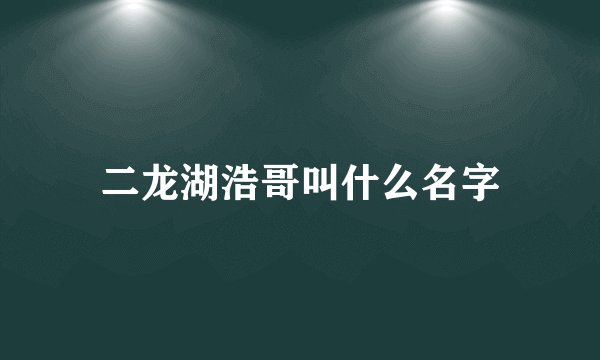 二龙湖浩哥叫什么名字
