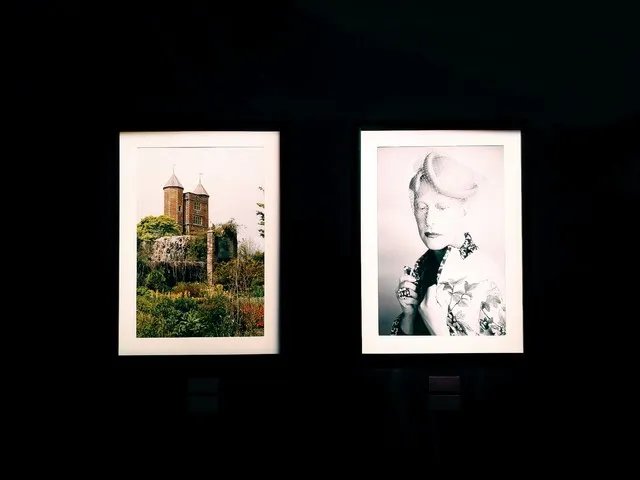 带vivo来艺术展 能