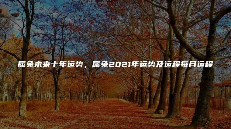 属兔未来十年运势，属兔2021年运势及运程每月运程