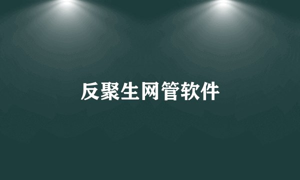 反聚生网管软件