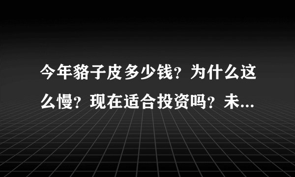 今年貉子皮多少钱？为什么这么慢？现在适合投资吗？未来貉皮还有前途吗？请皮草业的前辈们教教小弟。