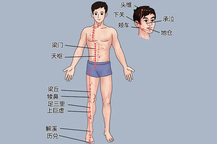 人体颈部经络图