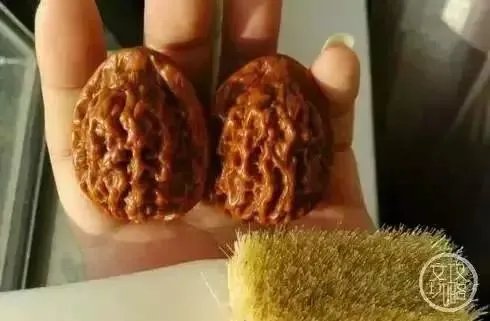 如何挑选文玩核桃？