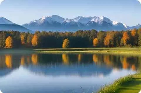 求<<罗宾汉的大冒险>>和就不一样的叫什么罗宾汉来这