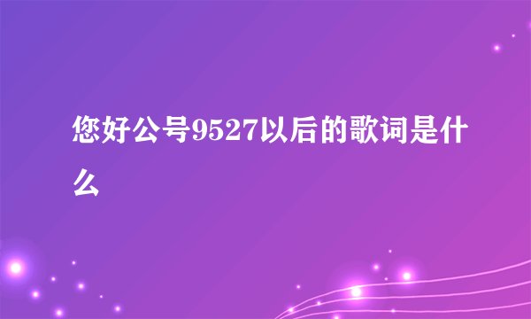 您好公号9527以后的歌词是什么