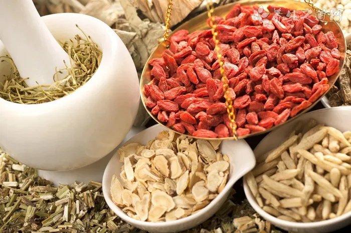 慢粒白血病偏方