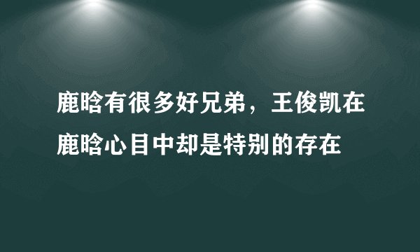 鹿晗有很多好兄弟，王俊凯在鹿晗心目中却是特别的存在