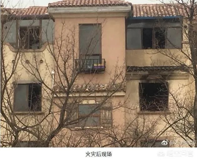 如何评价郑爽爸爸见义勇为火场救人的行为?