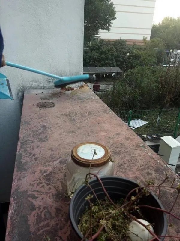 上海一高校女寝阳台被屎空袭，对此你怎么看？